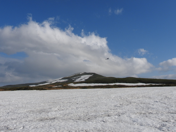 f0118332_0202844.jpg