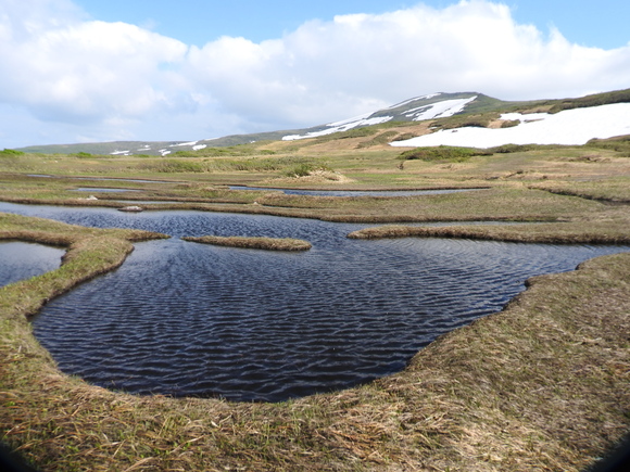 f0118332_020711.jpg