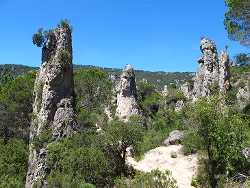 d0167041_037548.jpg