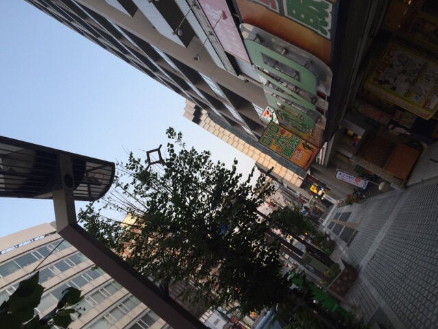 a0037043_00112093.jpg