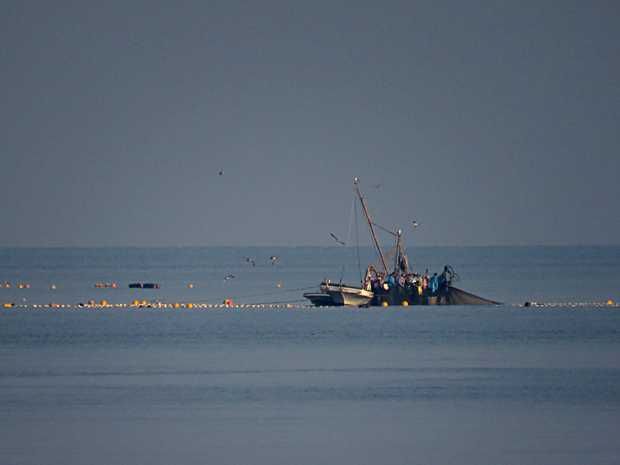 f0214649_4272536.jpg