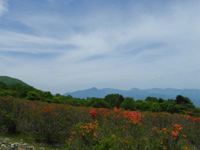 b0220251_5552058.jpg