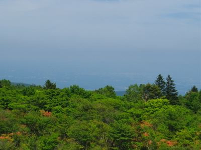 b0220251_733364.jpg
