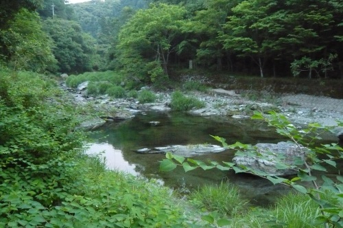 a0152454_22344147.jpg