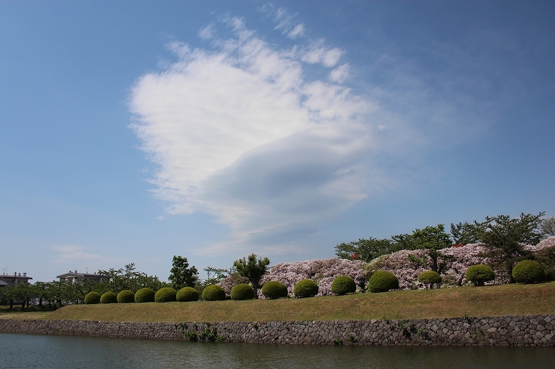 b0250154_06481370.jpg