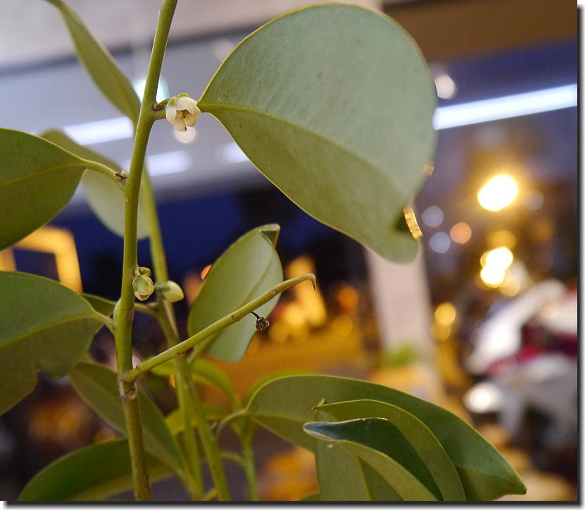 f0178858_17565715.jpg