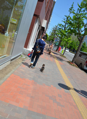 f0011663_9502634.jpg