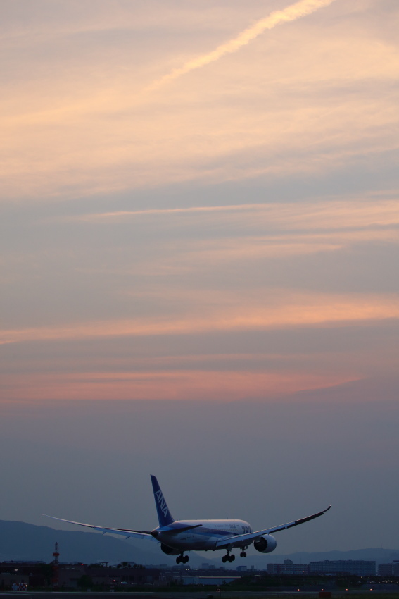 a0117972_19393450.jpg