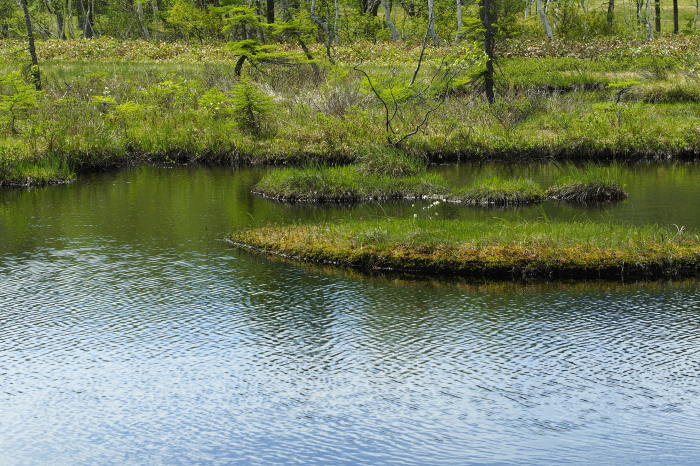 e0307372_19120119.jpg