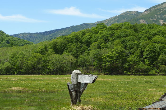 e0307372_19271752.jpg