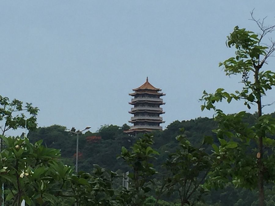 b0350085_08065778.jpg