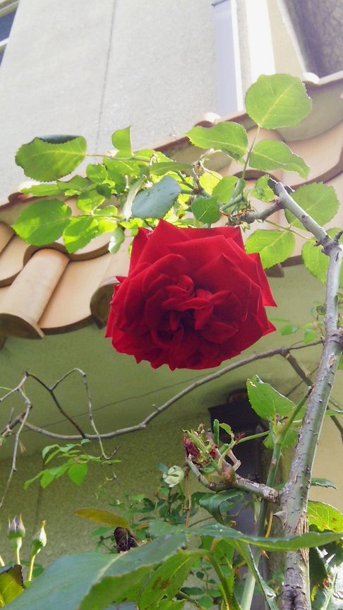 b0091187_2245245.jpg