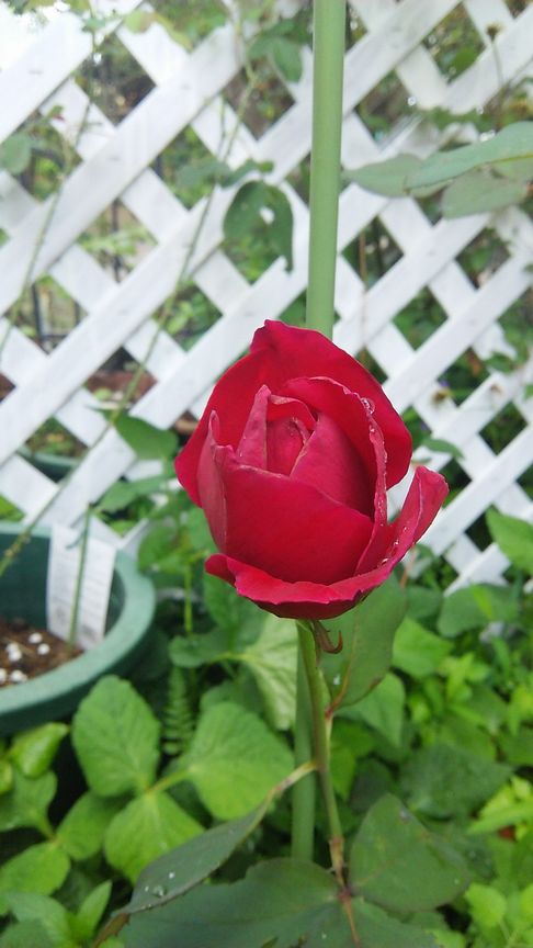 b0091187_2252560.jpg