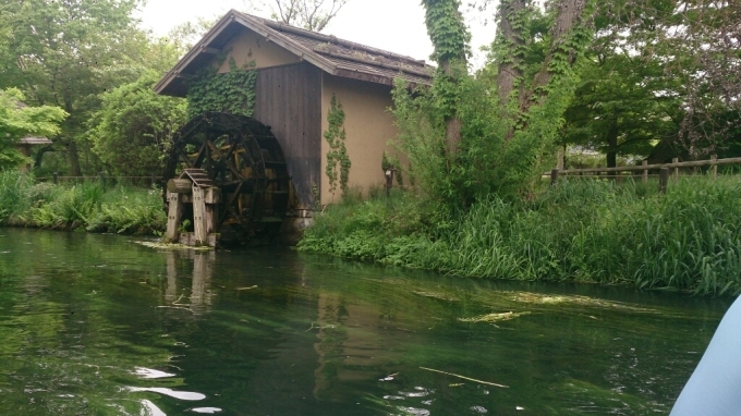 b0169887_06011626.jpg