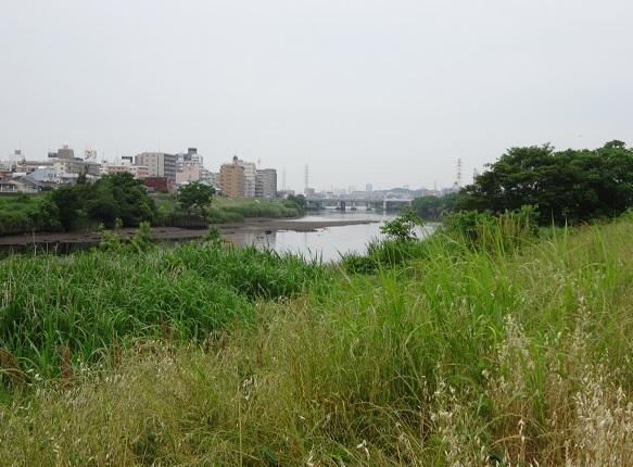 d0183387_16313775.jpg