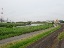 d0183387_16530988.jpg