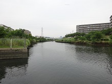 d0183387_17304890.jpg