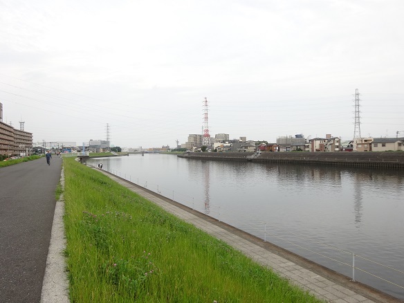 d0183387_17500537.jpg