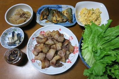 a0264589_1802352.jpg