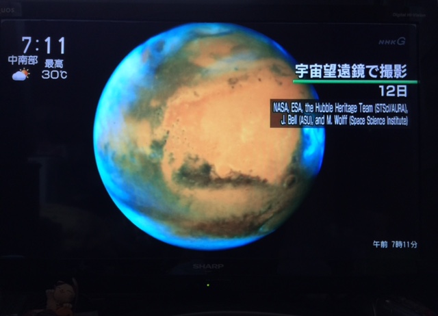c0064389_1053878.jpg