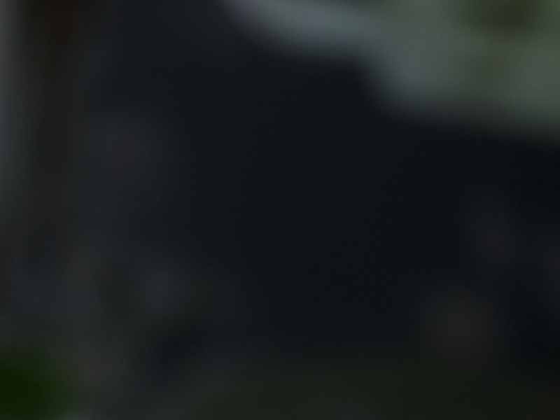 e0242689_21343293.jpg