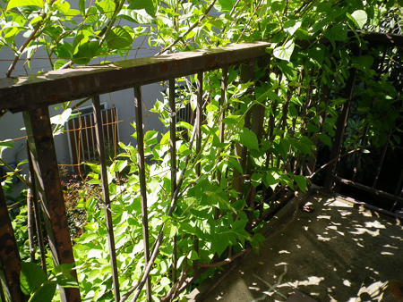 f0239100_22271618.jpg