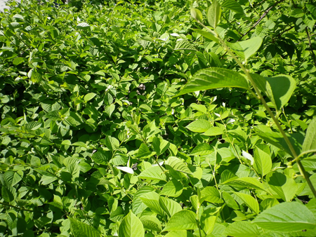 f0239100_22325765.jpg