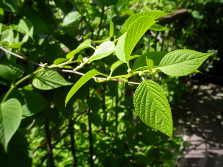 f0239100_22383831.jpg