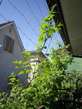 f0239100_2251172.jpg