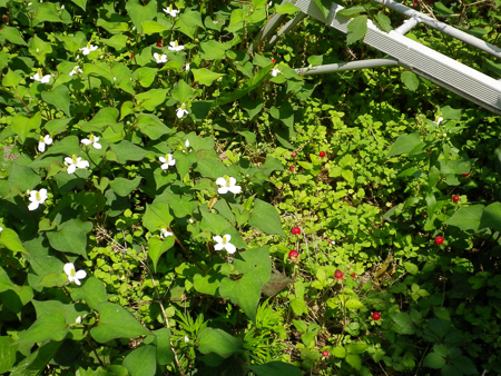 f0239100_23284984.jpg