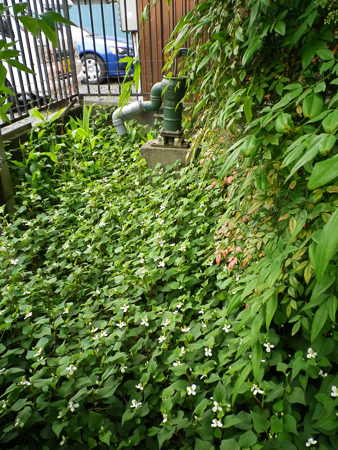 f0239100_23312515.jpg