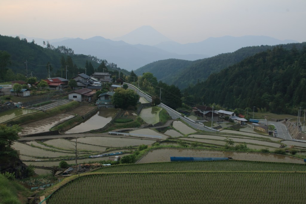a0188405_21151285.jpg
