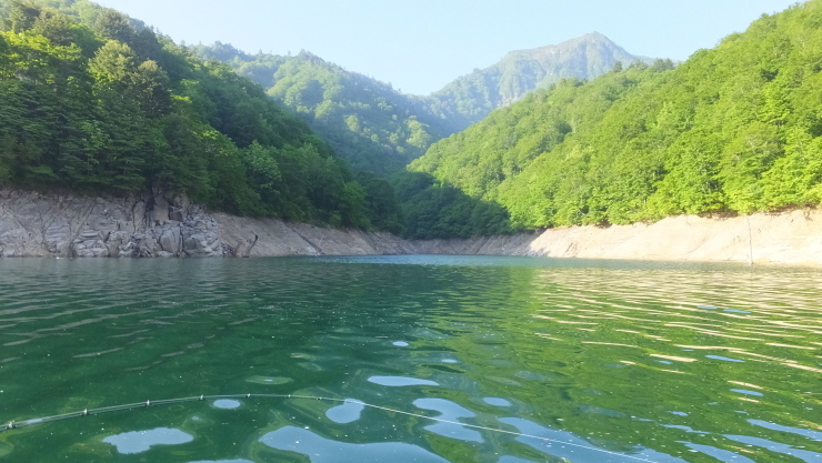 c0232813_21560476.jpg