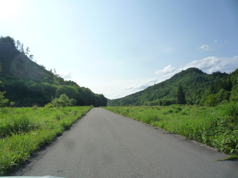 c0189218_8195526.jpg