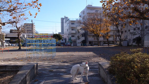 a0117039_21184651.jpg