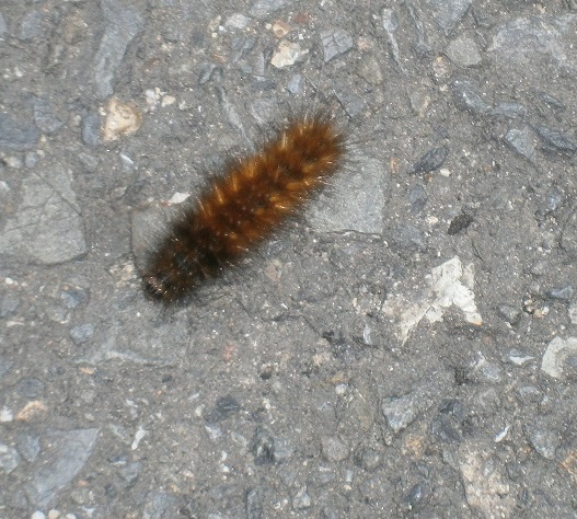 d0343540_18451090.jpg
