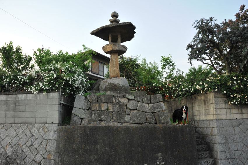 b0075541_15264548.jpg
