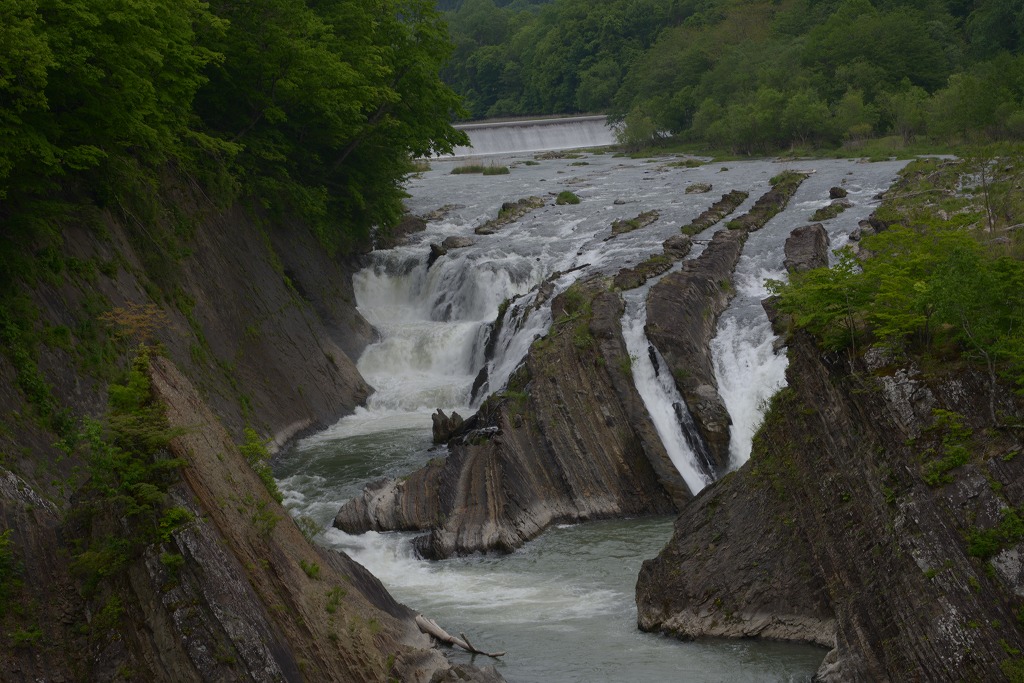 b0132951_1622730.jpg