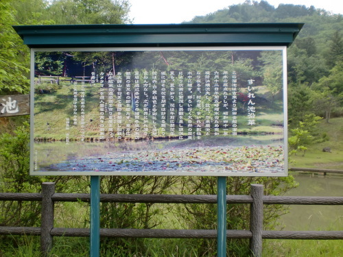 d0154954_10451779.jpg