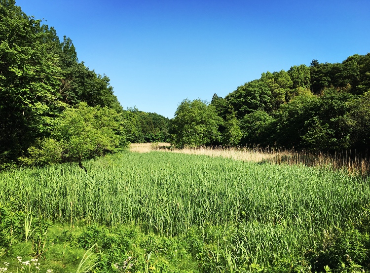 c0142664_23243296.jpg