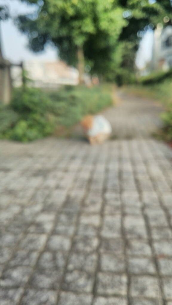 d0177473_19460043.jpg