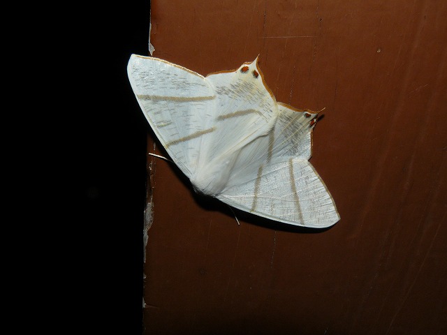 d0019074_1205344.jpg