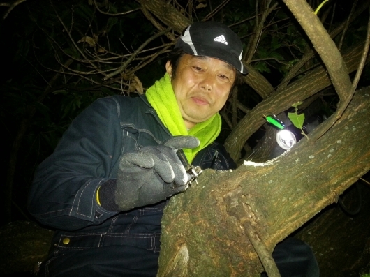 f0183484_07483953.jpg