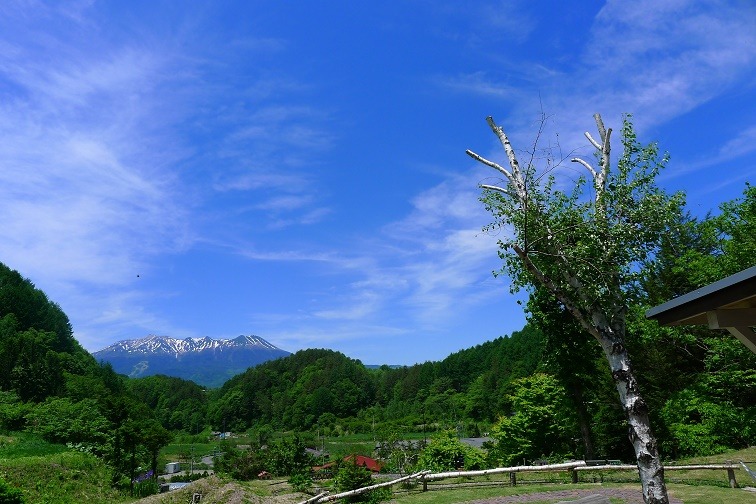 a0130586_19311510.jpg