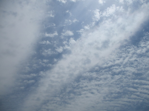 d0333091_18423483.jpg