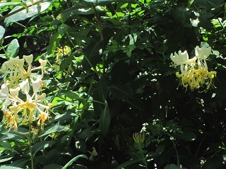 c0152002_18024166.jpg