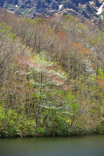 a0263109_144319.jpg