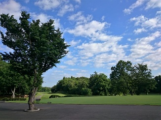 d0091909_17534780.jpg