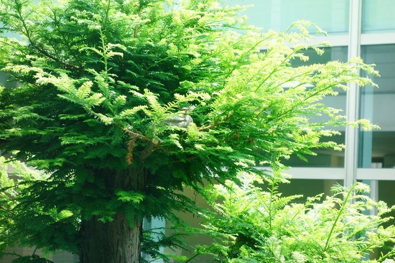 a0239418_17391138.jpg