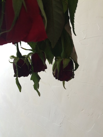 e0141819_9414418.jpg